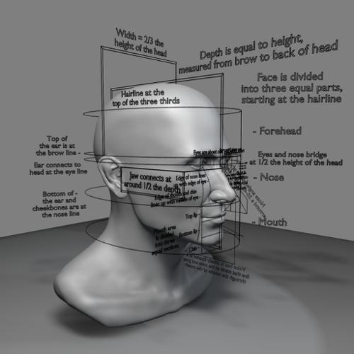 Proportions of the Face preview image